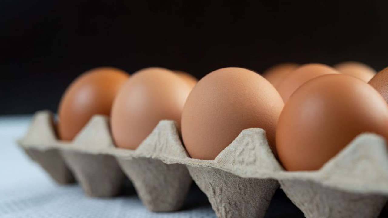 "Latest Telangana Egg Prices: Hyderabad & Warangal Rates