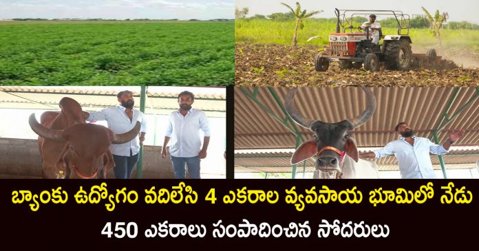 "Hebbevu Farms by Kishan Brothers: Sustainable Farming Success in Telangana"