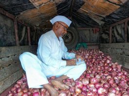 Telangana Onion Prices Decrease: Local Supply Boosts Market Stability