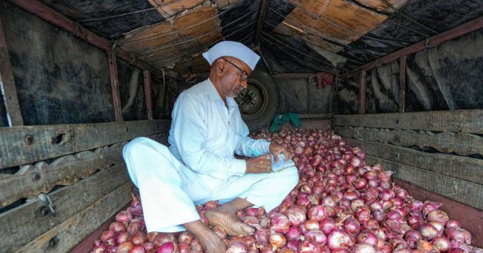 Telangana Onion Prices Decrease: Local Supply Boosts Market Stability