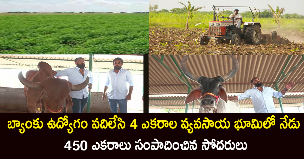 "Hebbevu Farms by Kishan Brothers: Sustainable Farming Success in Telangana"