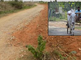 "Improved Access for Farmers: New Roads to Agricultural Fields"